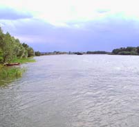 река Дон ниже Константиновска