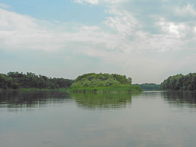 Река Дон. Островок