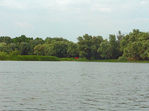 Устье реки Богучарка