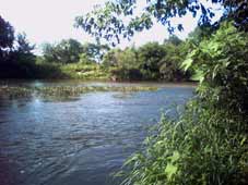 Река Дон у села Волотово, Липецкая область