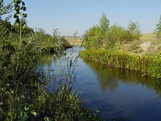 река Чир, фото 1