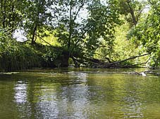 река Чир, фото 6