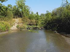 река Чир, фото 8