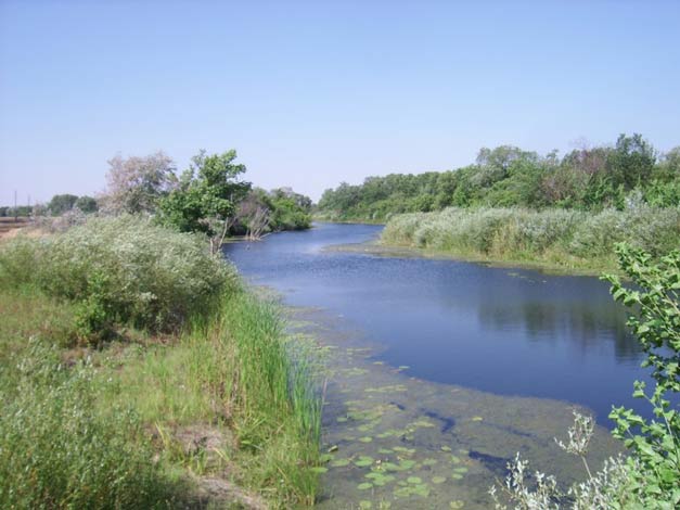 Река Иловля: поворот на Шульпич