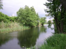 река Иловля фото 2 - У села Ольховка