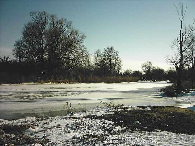 Река Иловля зимой