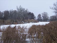 река Иловля фото 8 - 1 декабря